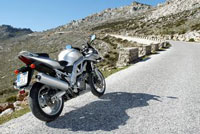 Suzuki SV1000S